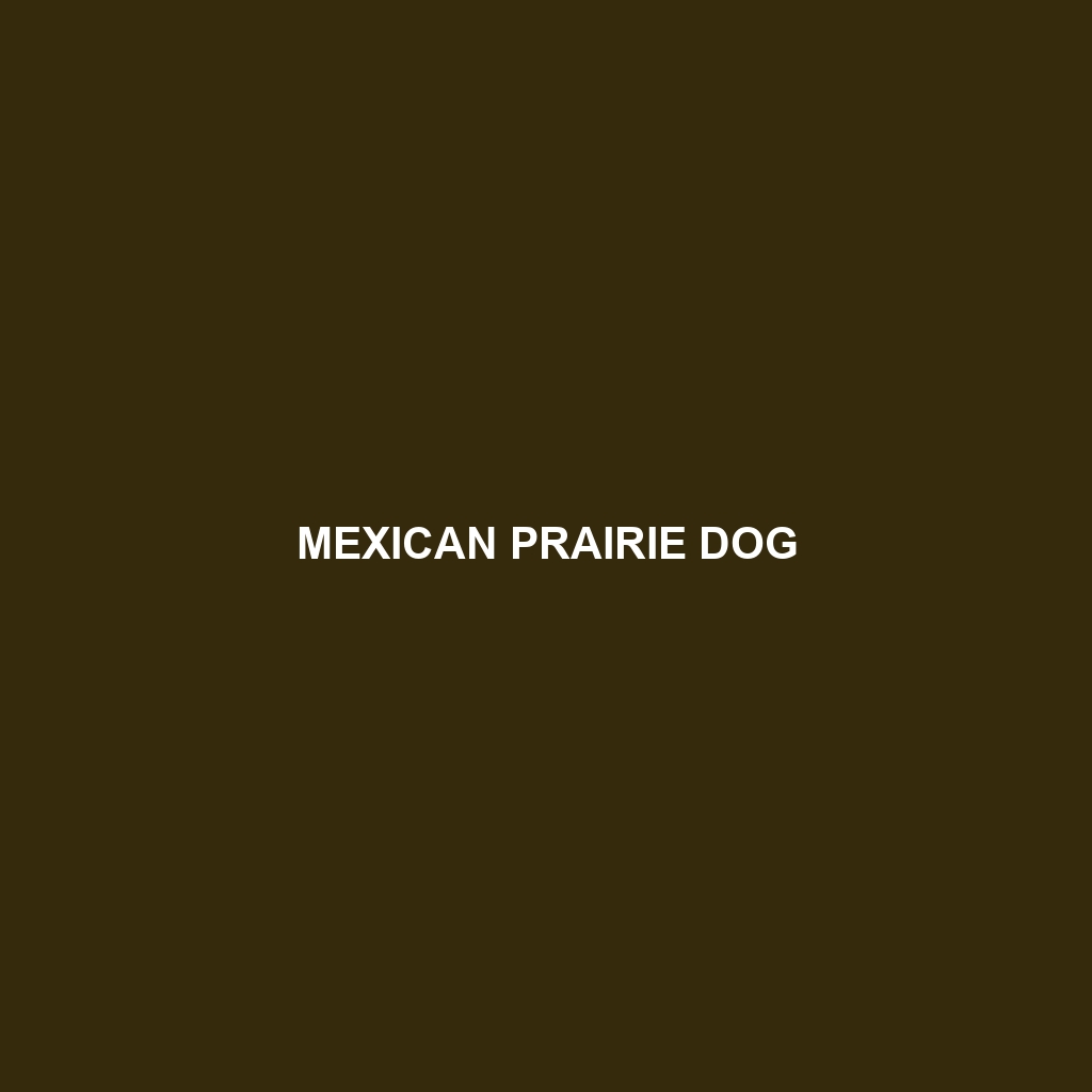 Mexican Prairie Dog