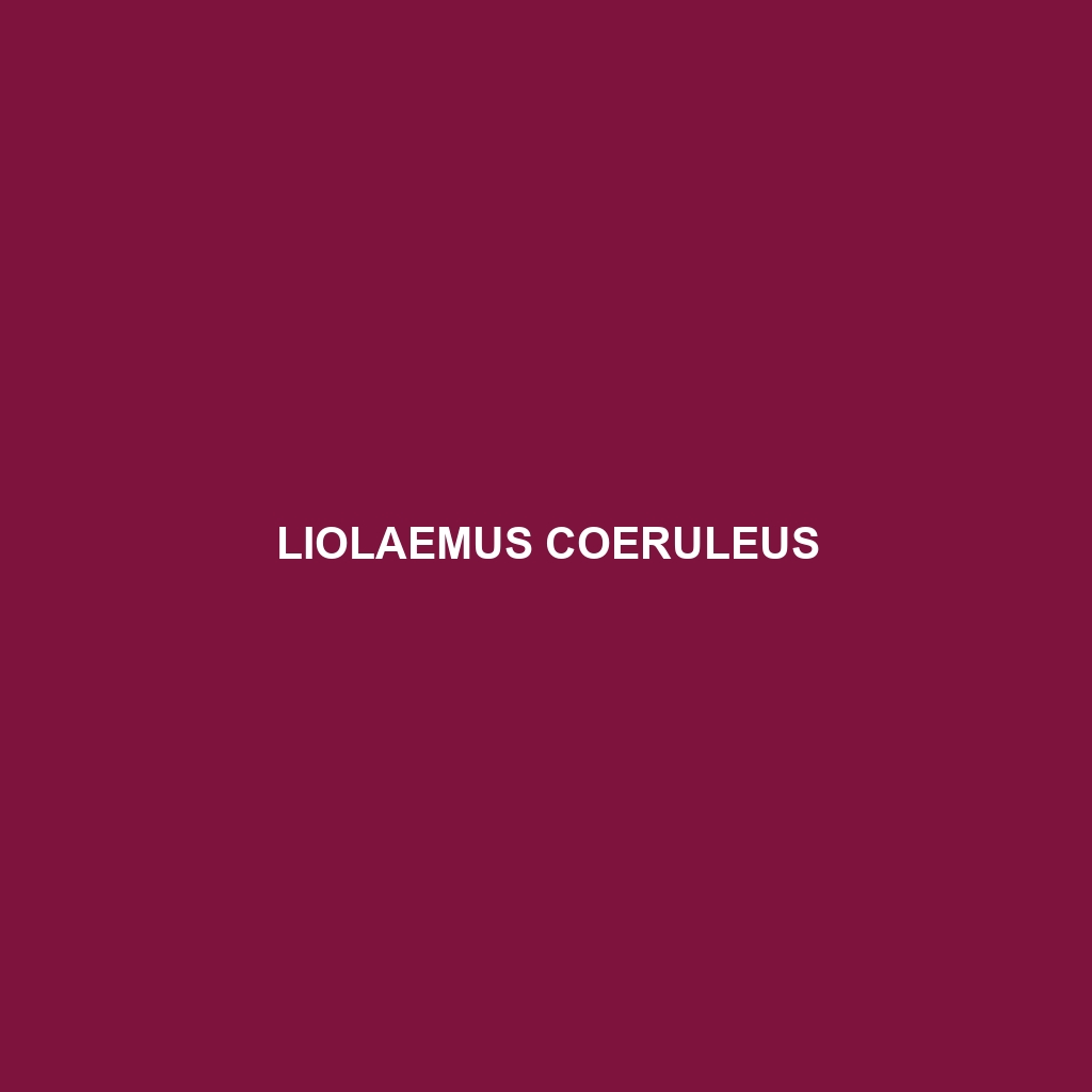 Liolaemus coeruleus