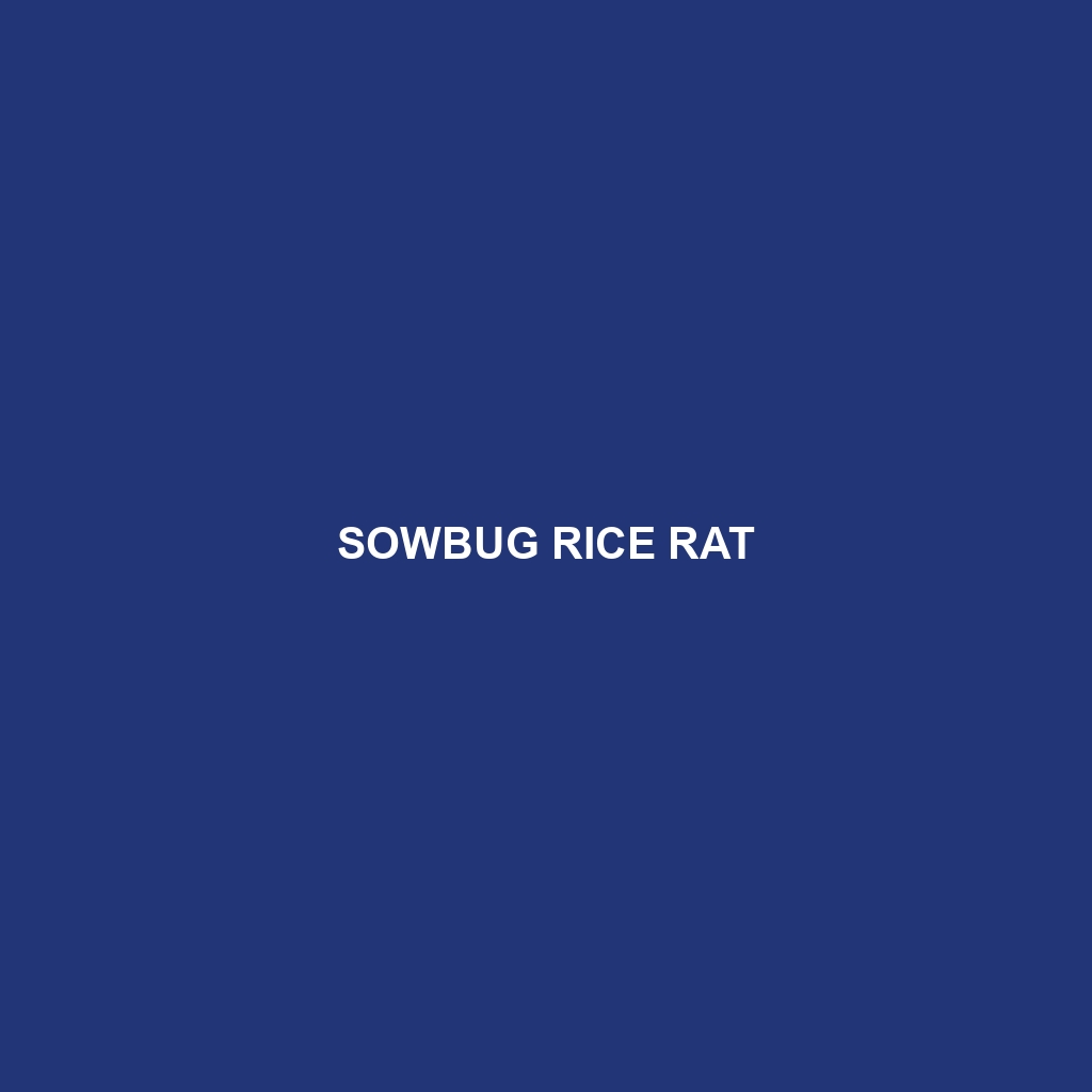 Sowbug Rice Rat