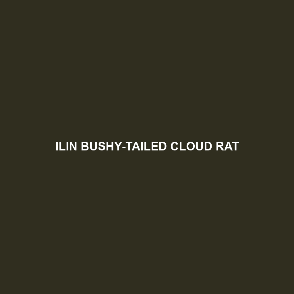 Ilin Bushy-tailed Cloud Rat