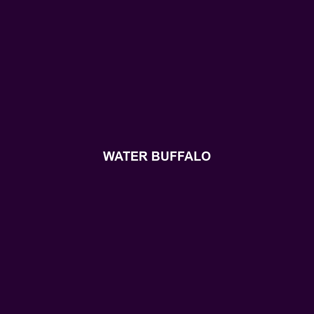 Water Buffalo