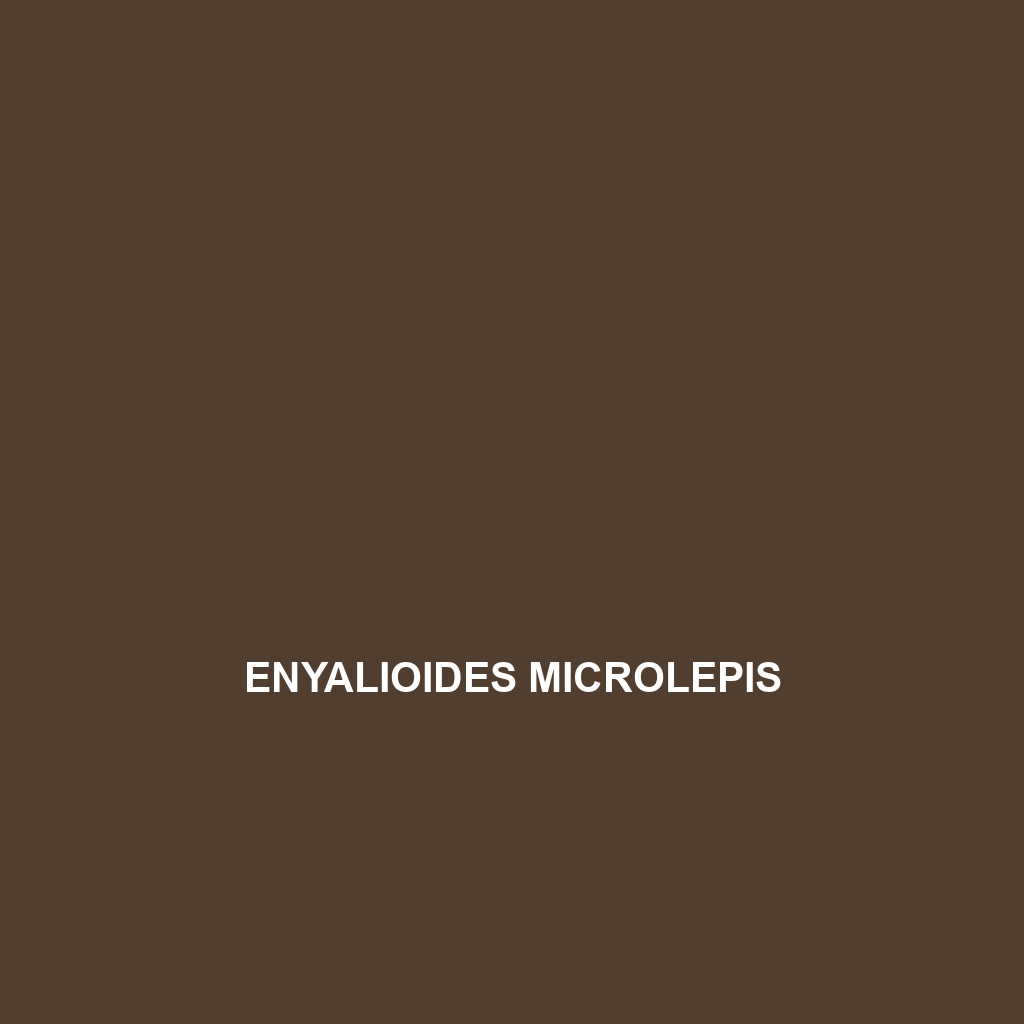 Enyalioides microlepis