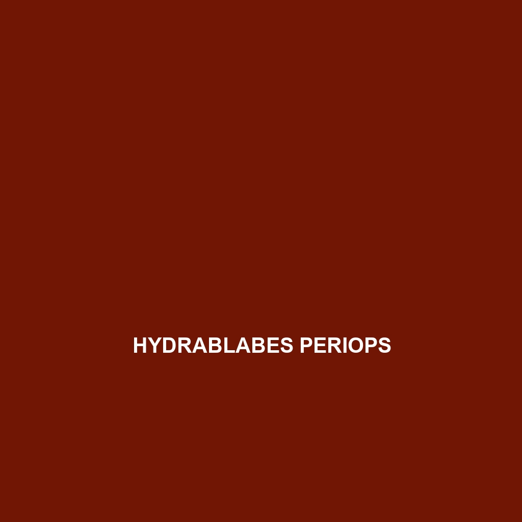 Hydrablabes periops