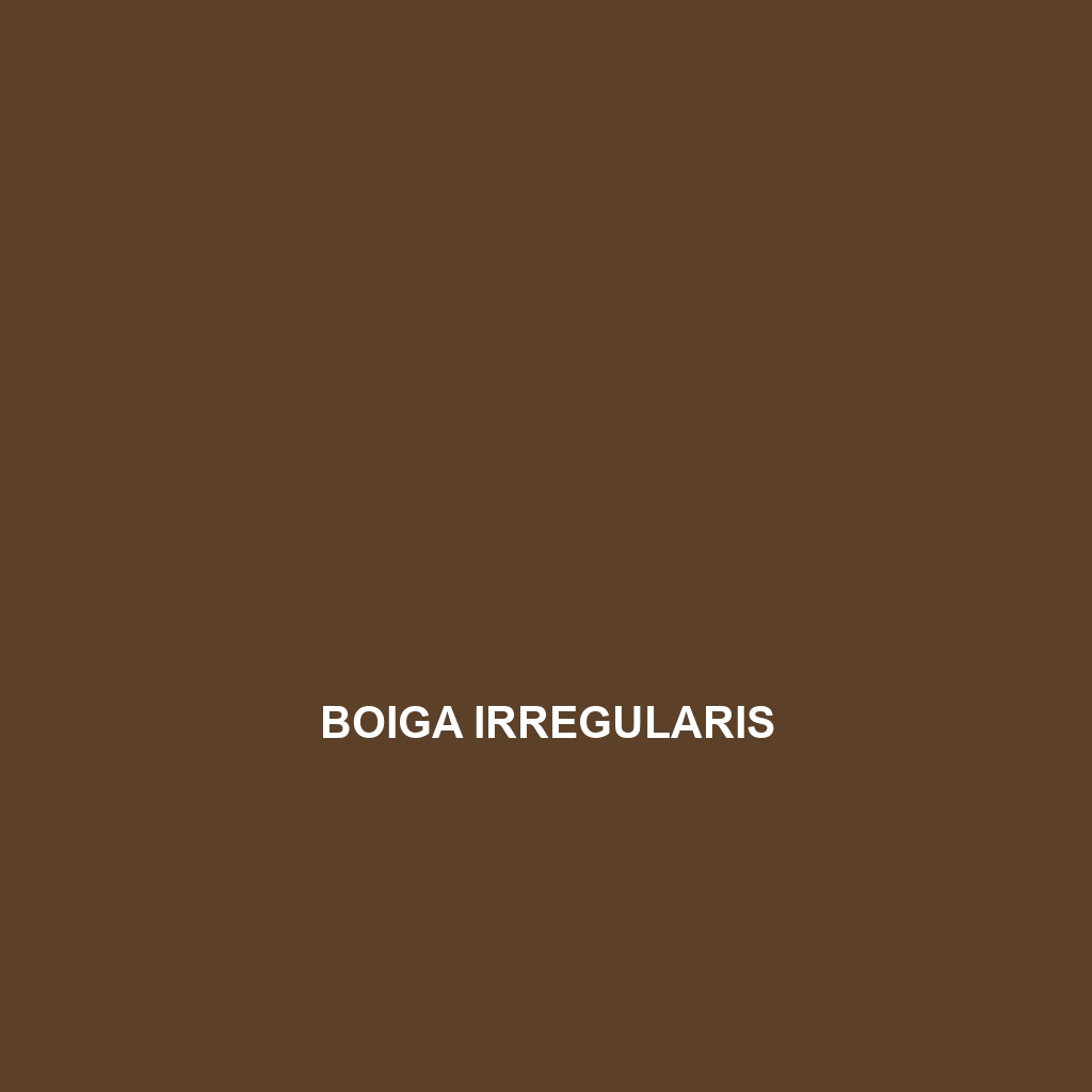 Boiga irregularis