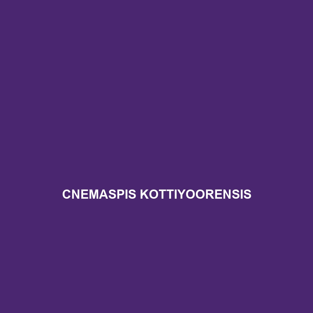 Cnemaspis kottiyoorensis