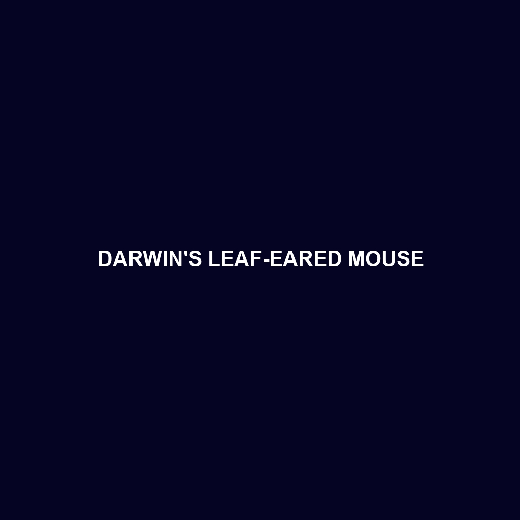 Darwin's Leaf-eared Mouse