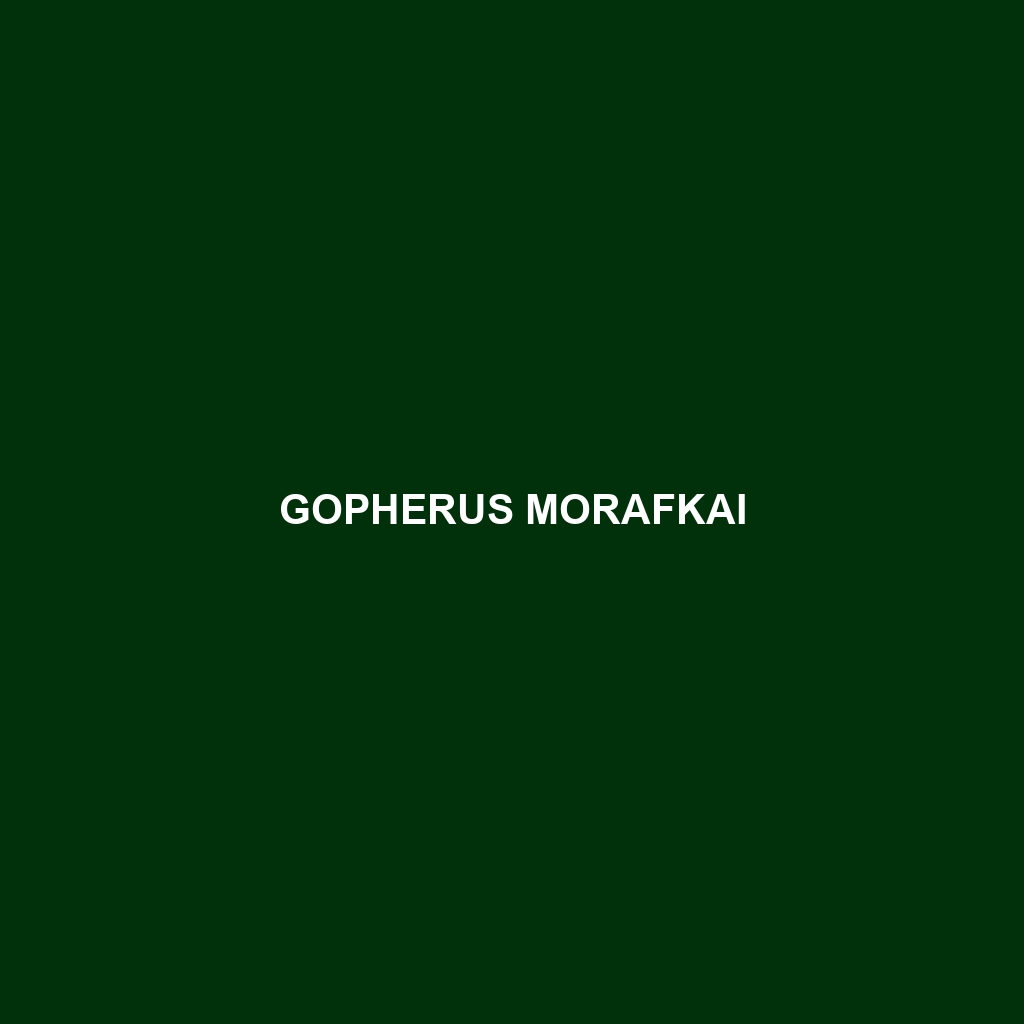 Gopherus morafkai