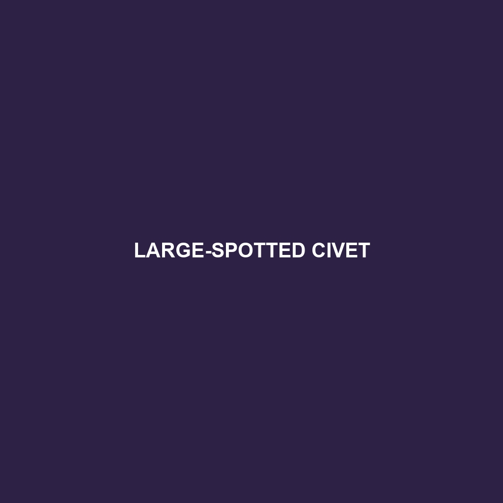 Large-spotted Civet