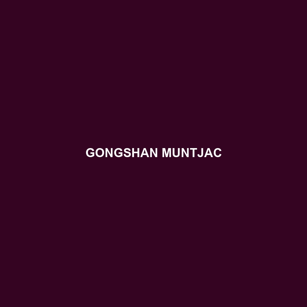 Gongshan Muntjac