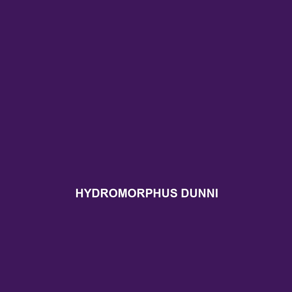 Hydromorphus dunni