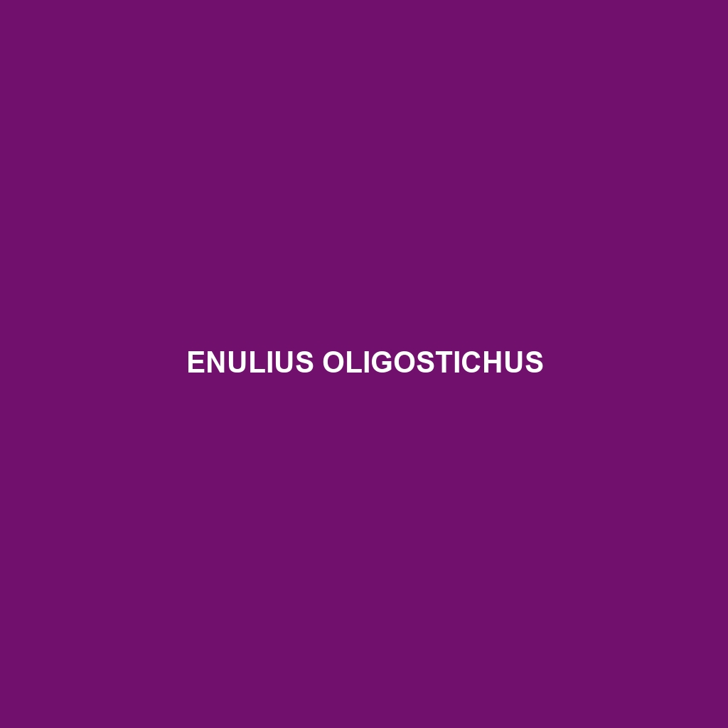 Enulius oligostichus