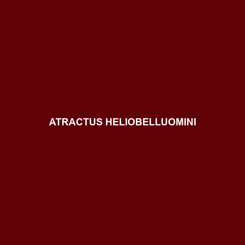 Atractus heliobelluomini