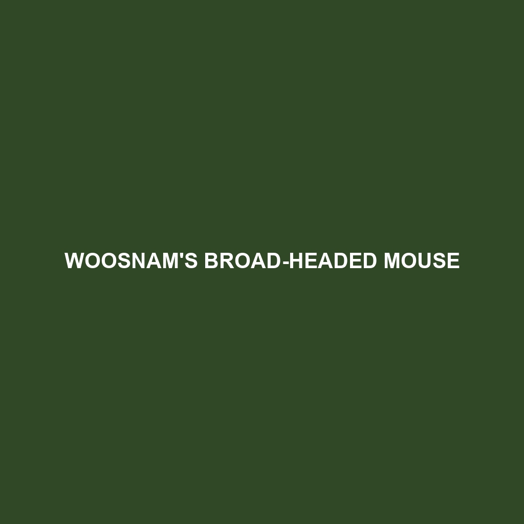 Woosnam's Broad-headed Mouse