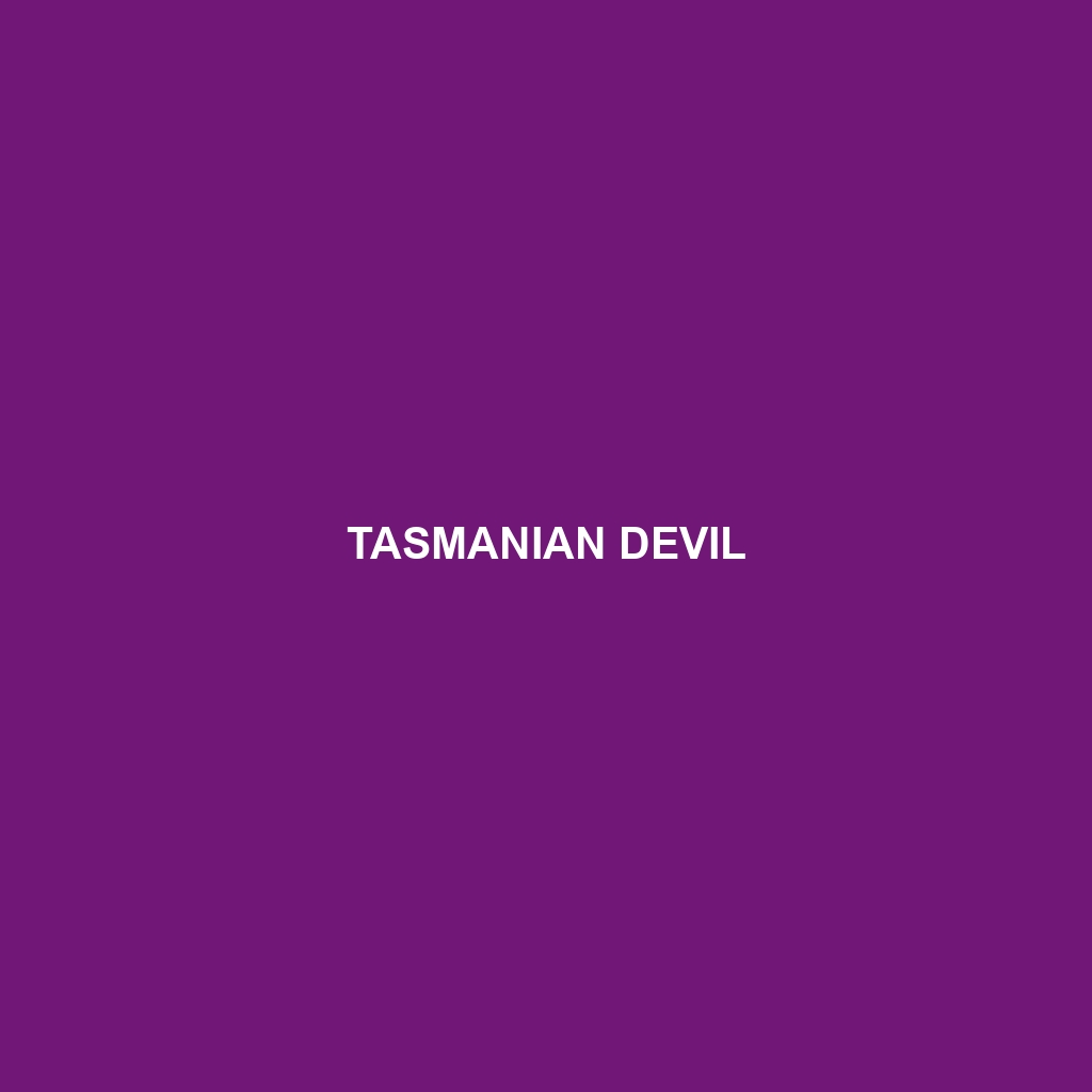 Tasmanian Devil