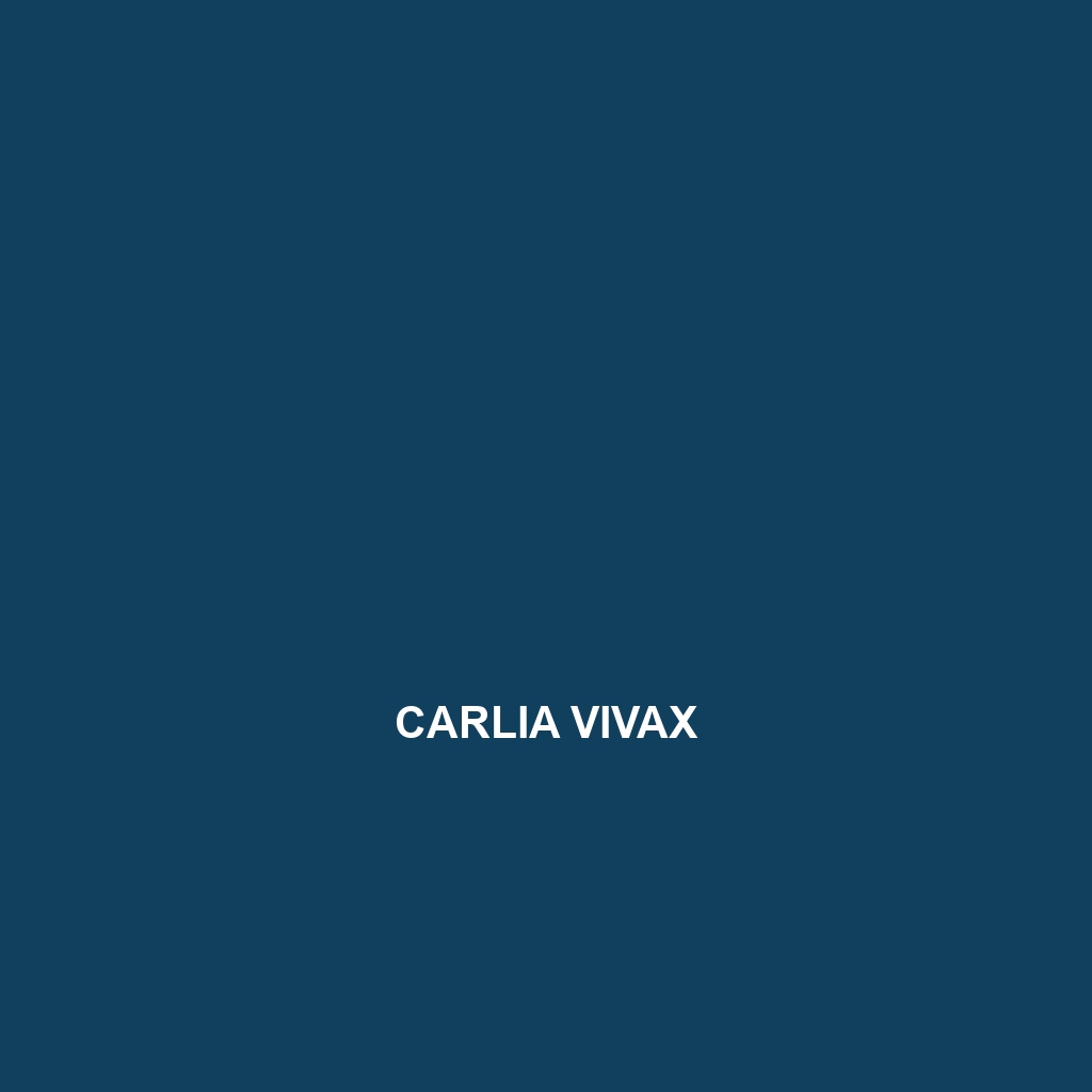 Carlia vivax