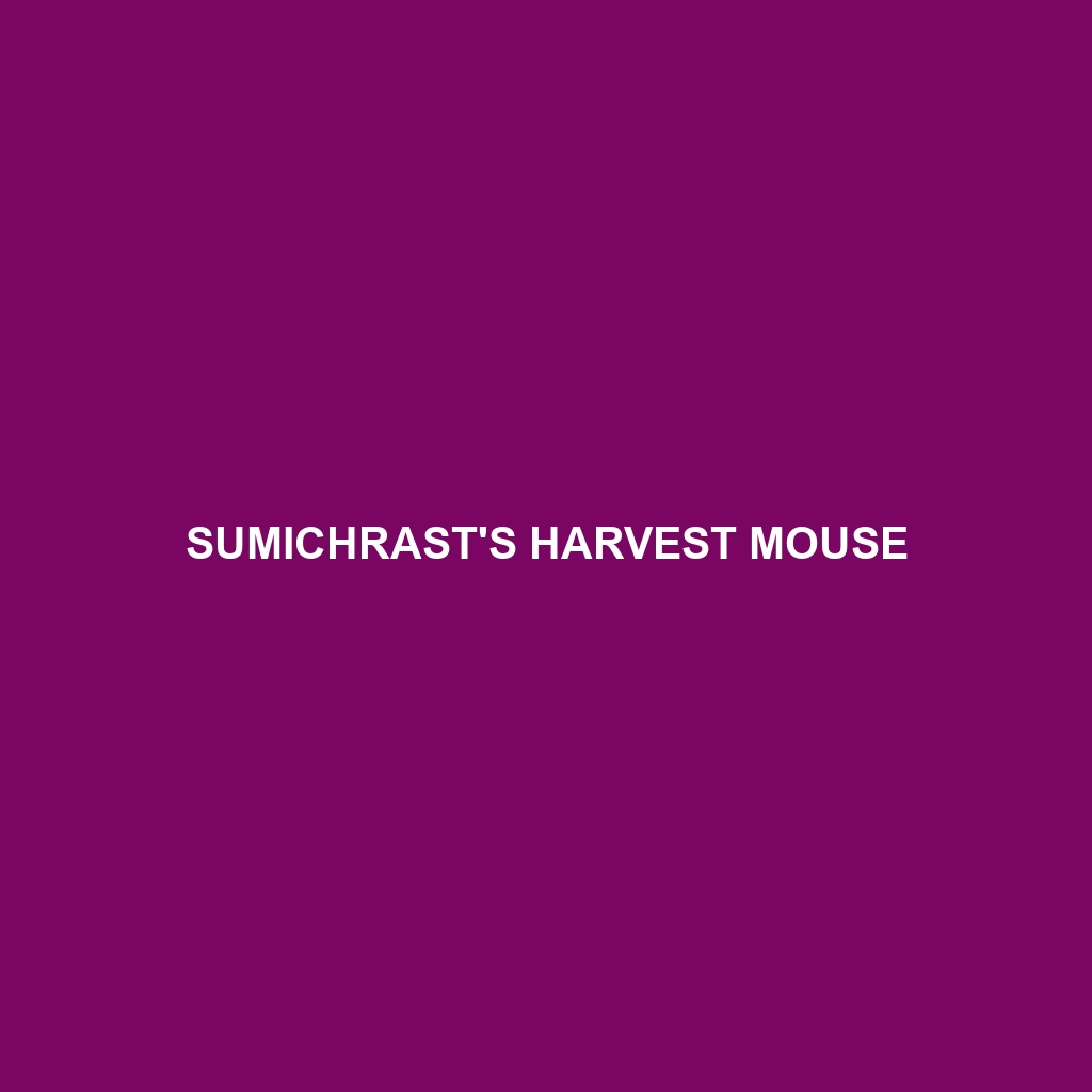 Sumichrast's Harvest Mouse