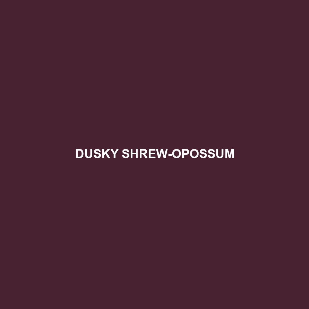 Dusky Shrew-opossum