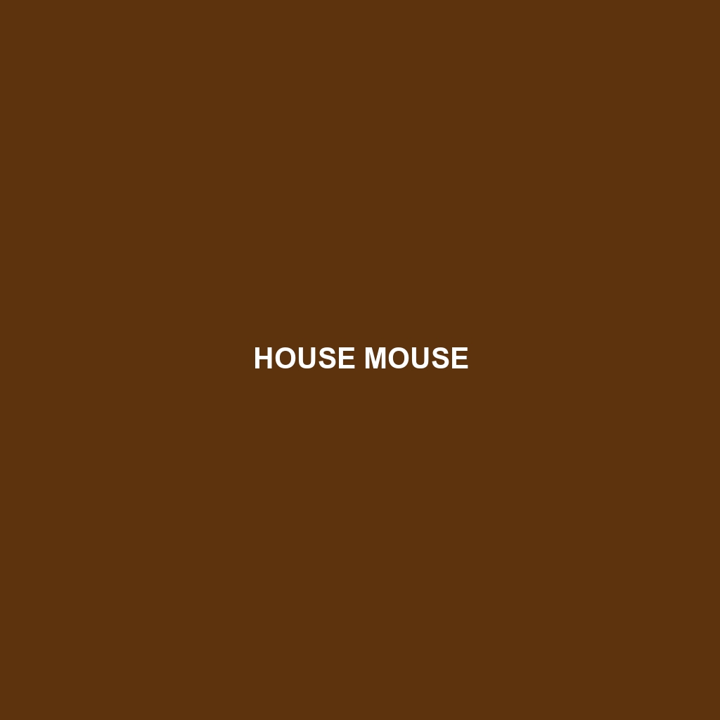 House Mouse