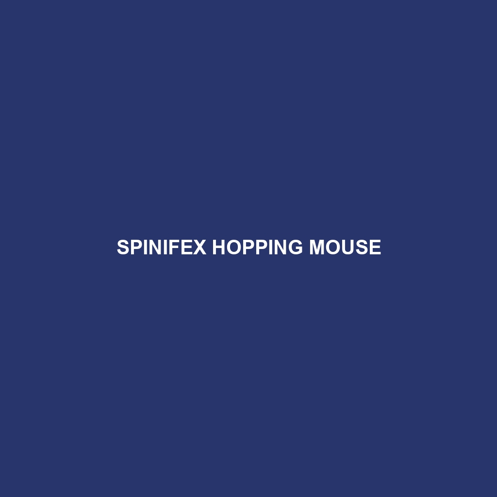 Spinifex Hopping Mouse