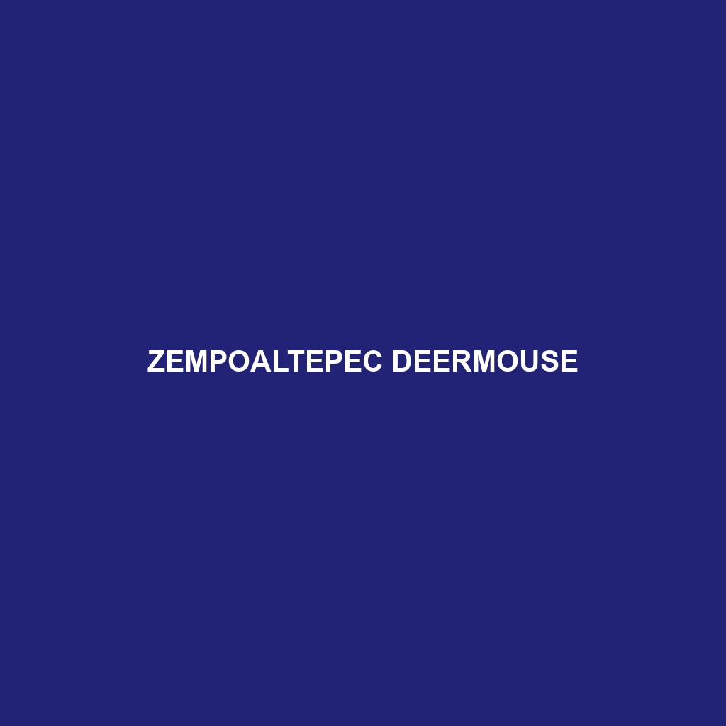 Zempoaltepec Deermouse