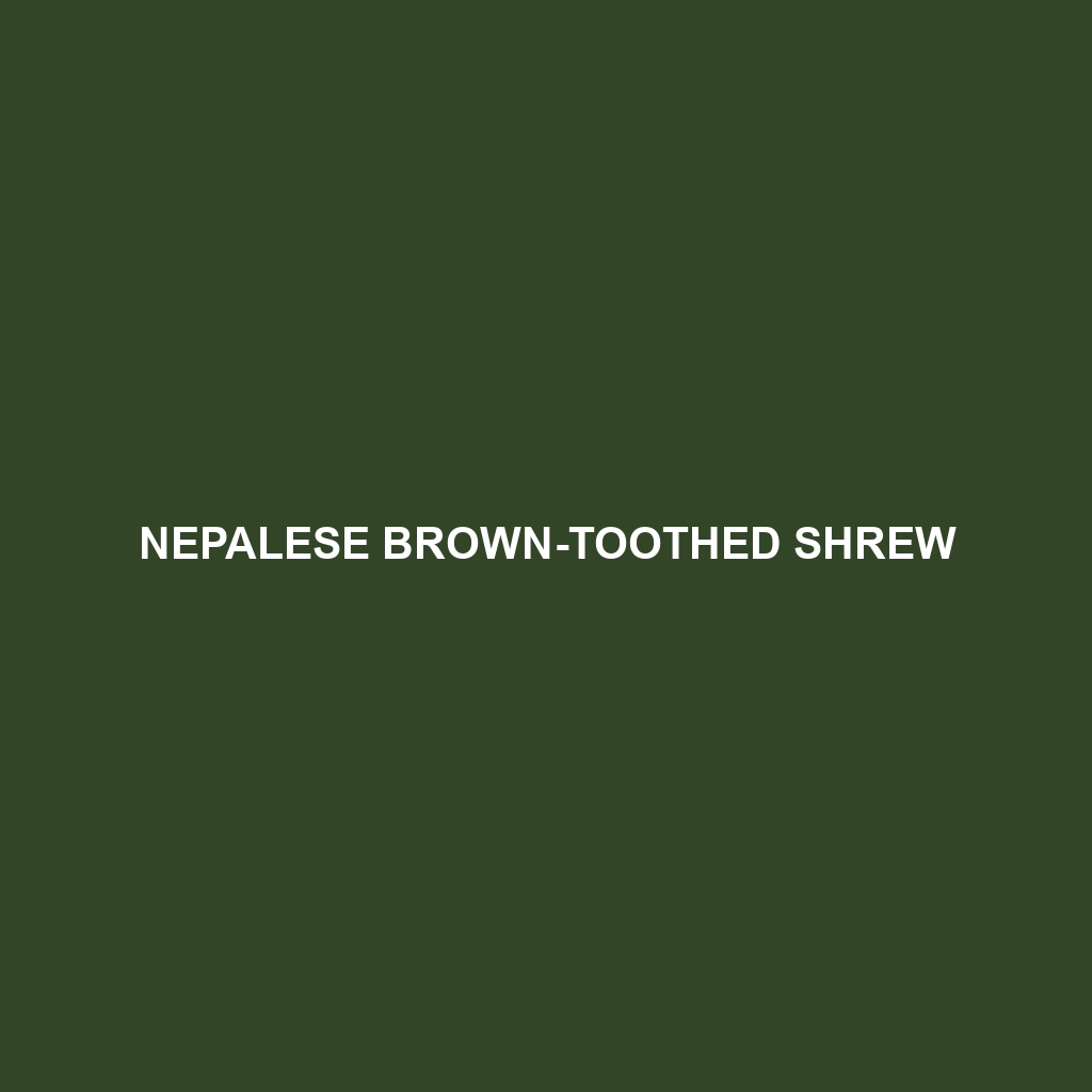 Nepalese Brown-toothed Shrew