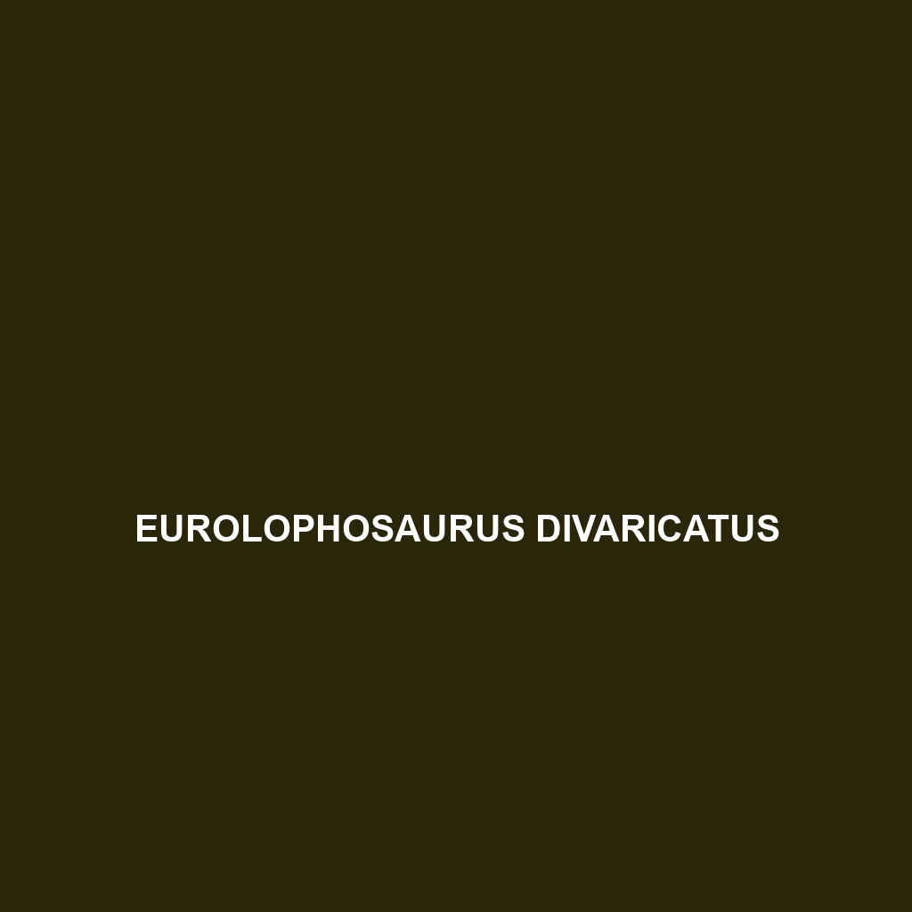 Eurolophosaurus divaricatus