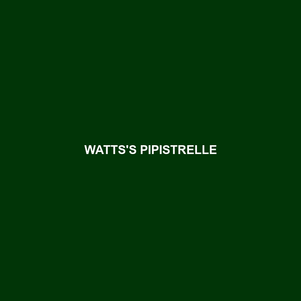 Watts's Pipistrelle