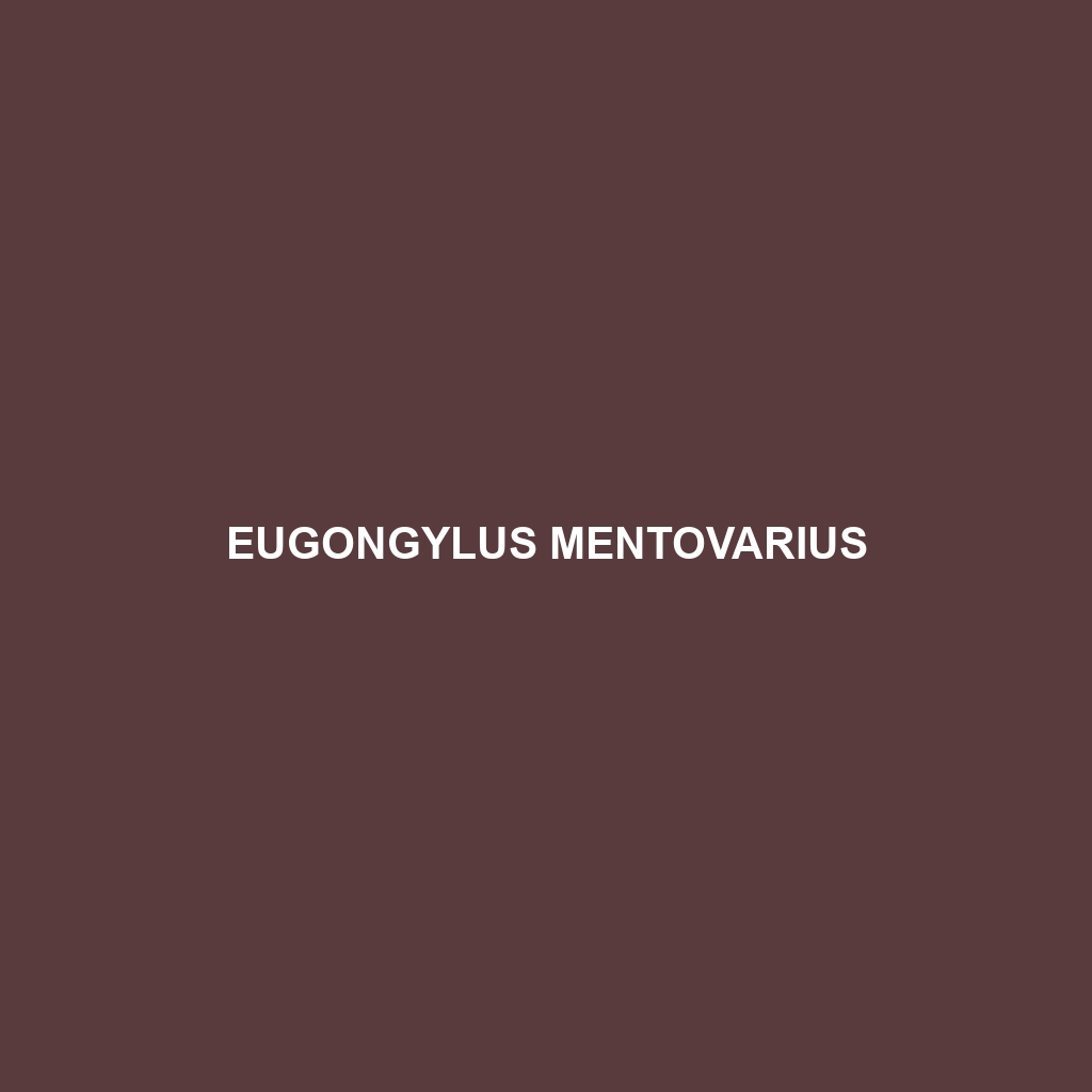 Eugongylus mentovarius