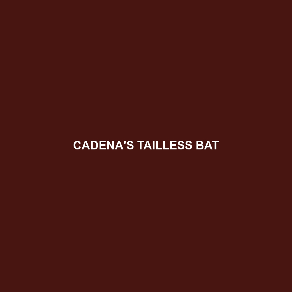 Cadena's Tailless Bat