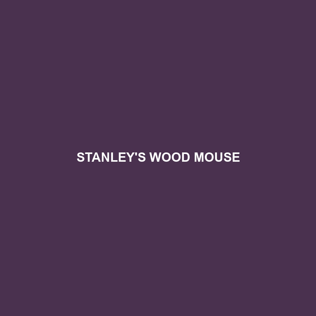 Stella Wood Mouse