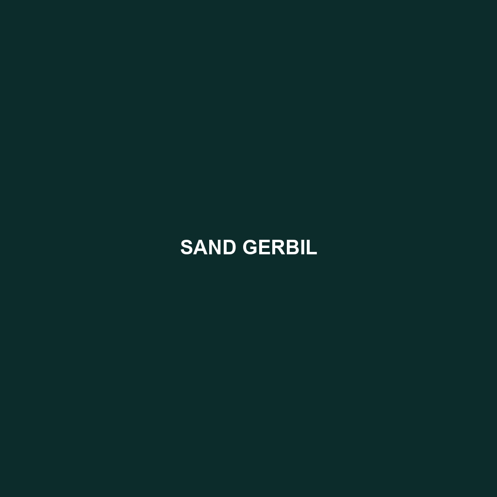 Sand Gerbil