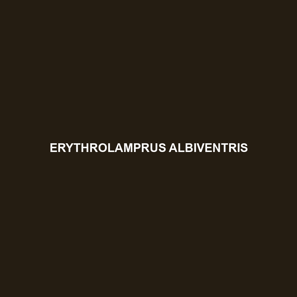 Erythrolamprus albiventris