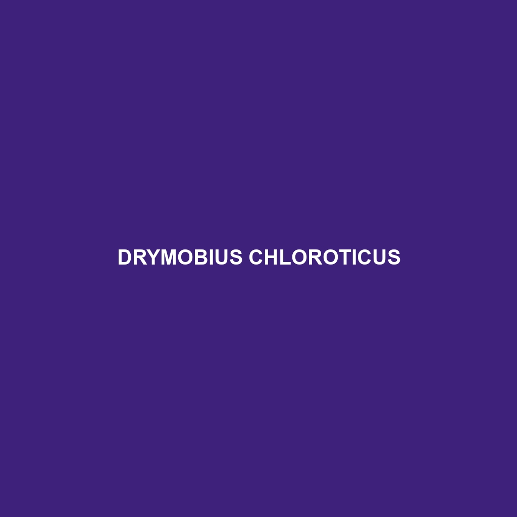 Drymobius chloroticus