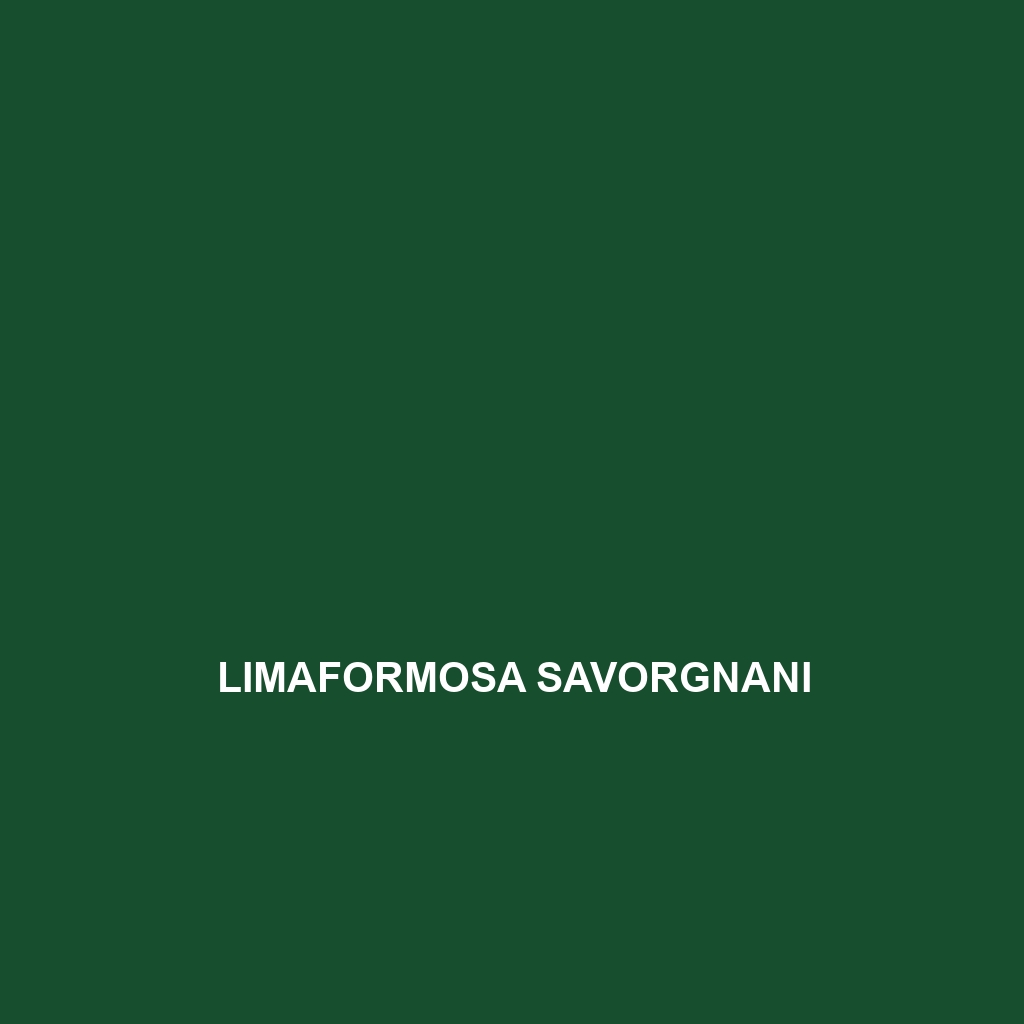 Limaformosa savorgnani