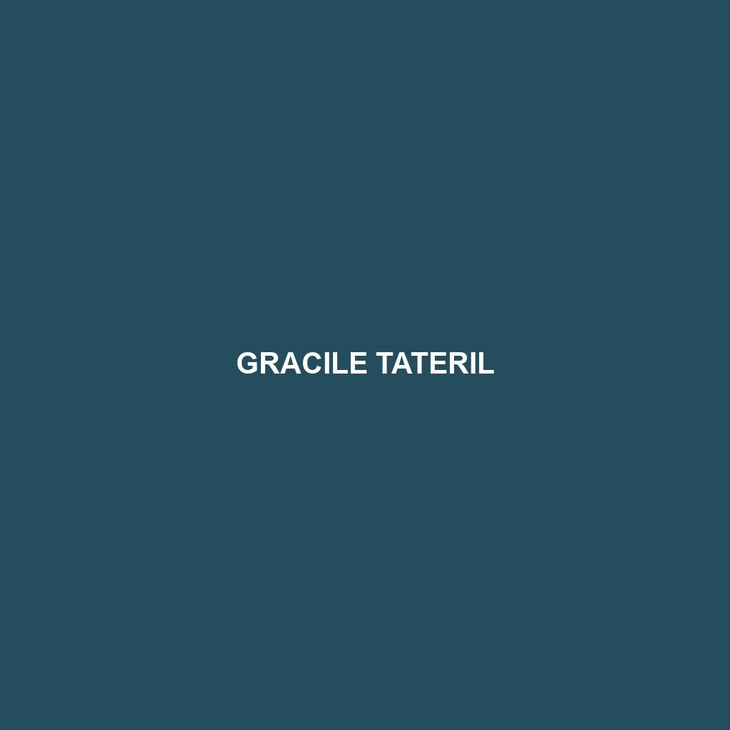 Gracile Tateril