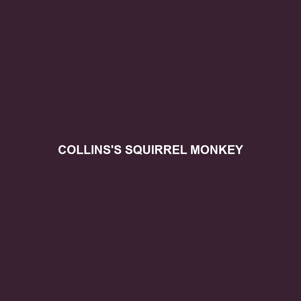 Collins's Squirrel Monkey