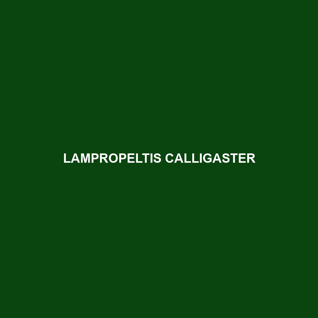 Lampropeltis calligaster