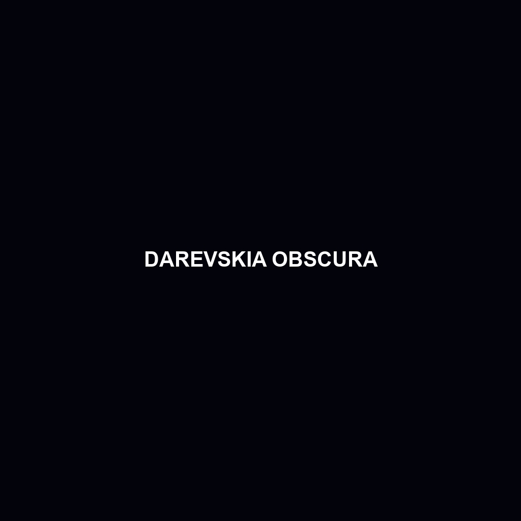 Darevskia obscura