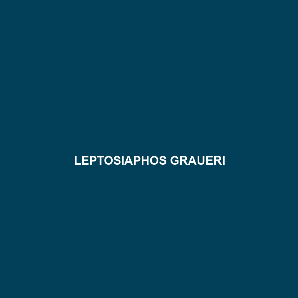 Leptosiaphos graueri