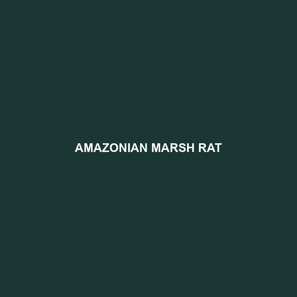 Amazonian Marsh Rat