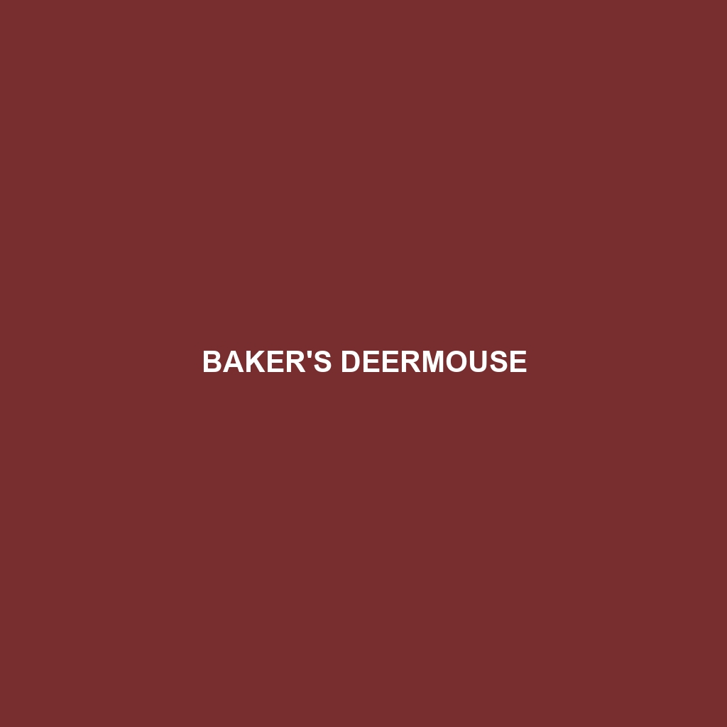 Baker's Deermouse