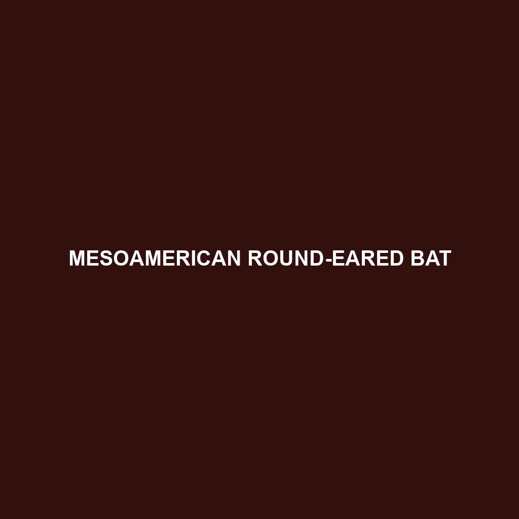 Mesoamerican Round-eared Bat