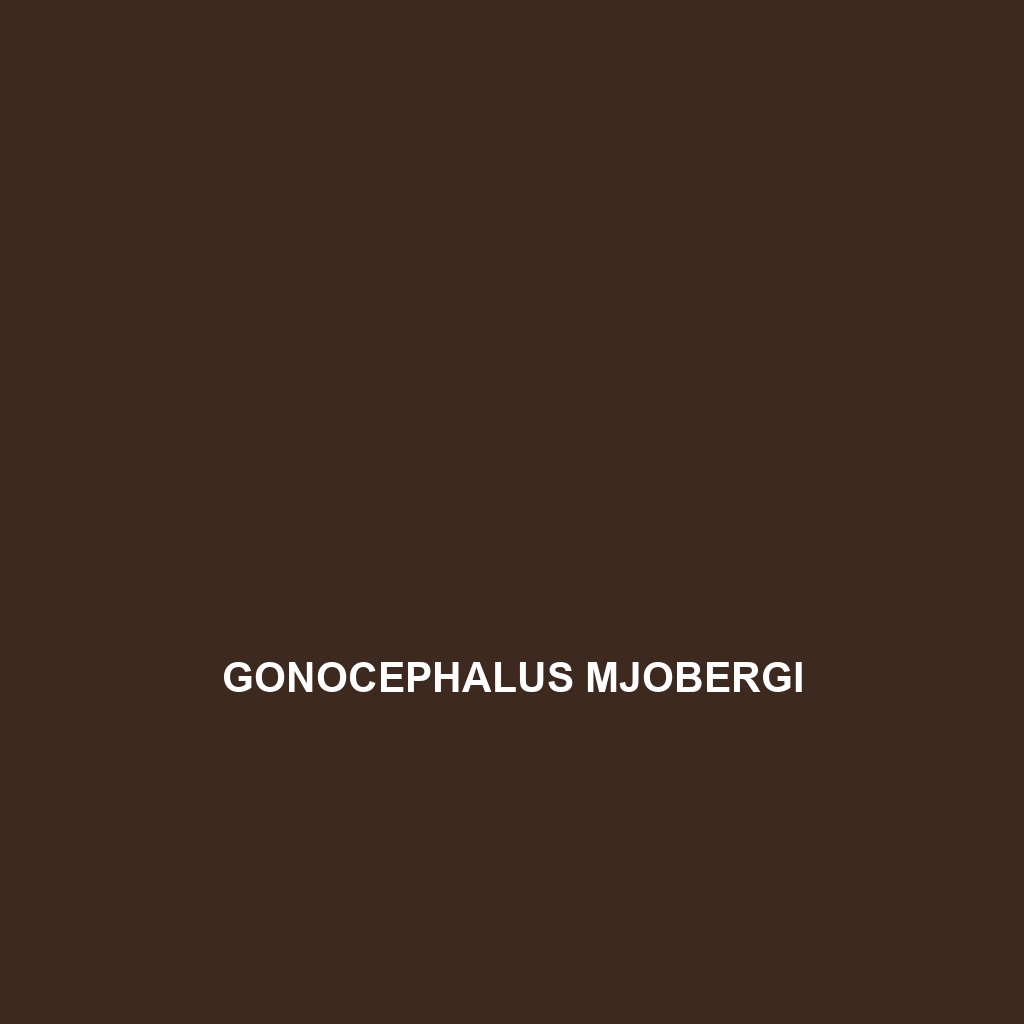 Gonocephalus mjobergi