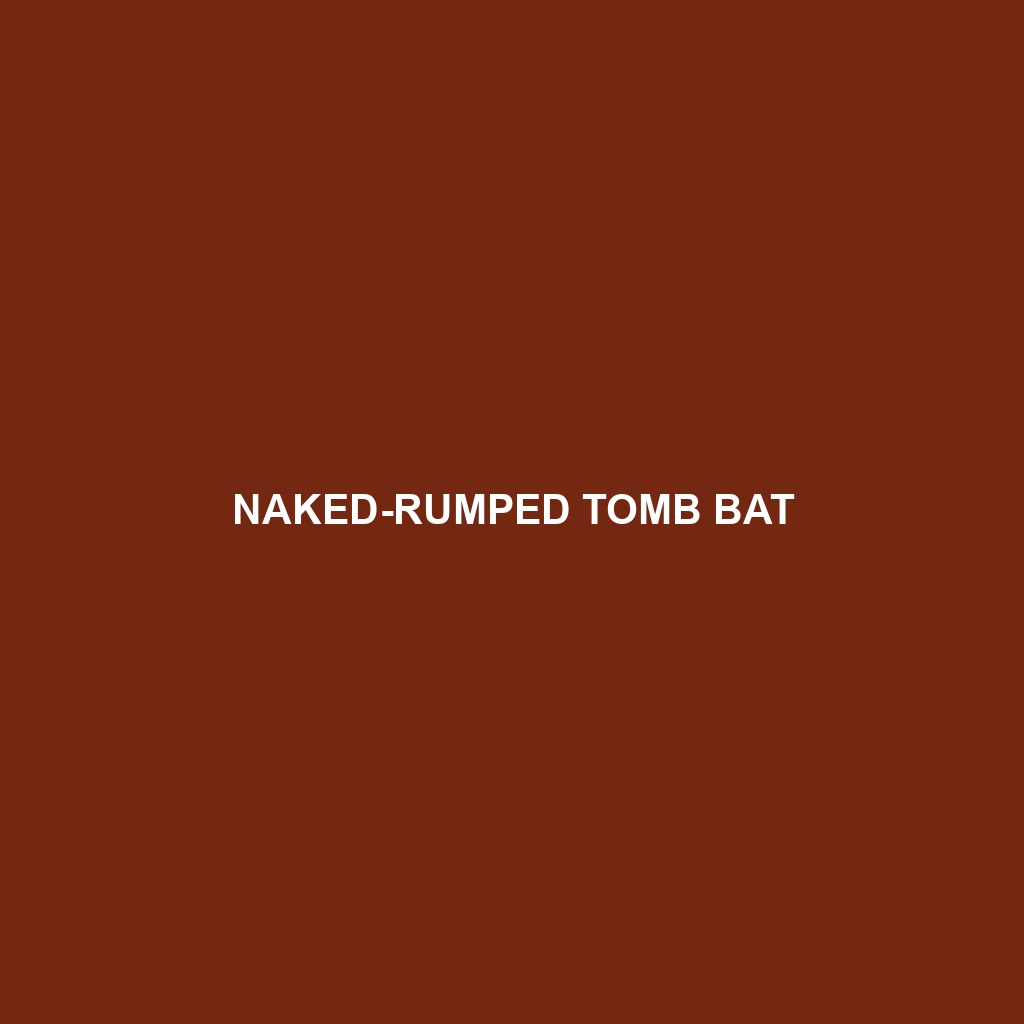 Naked-rumped Tomb Bat