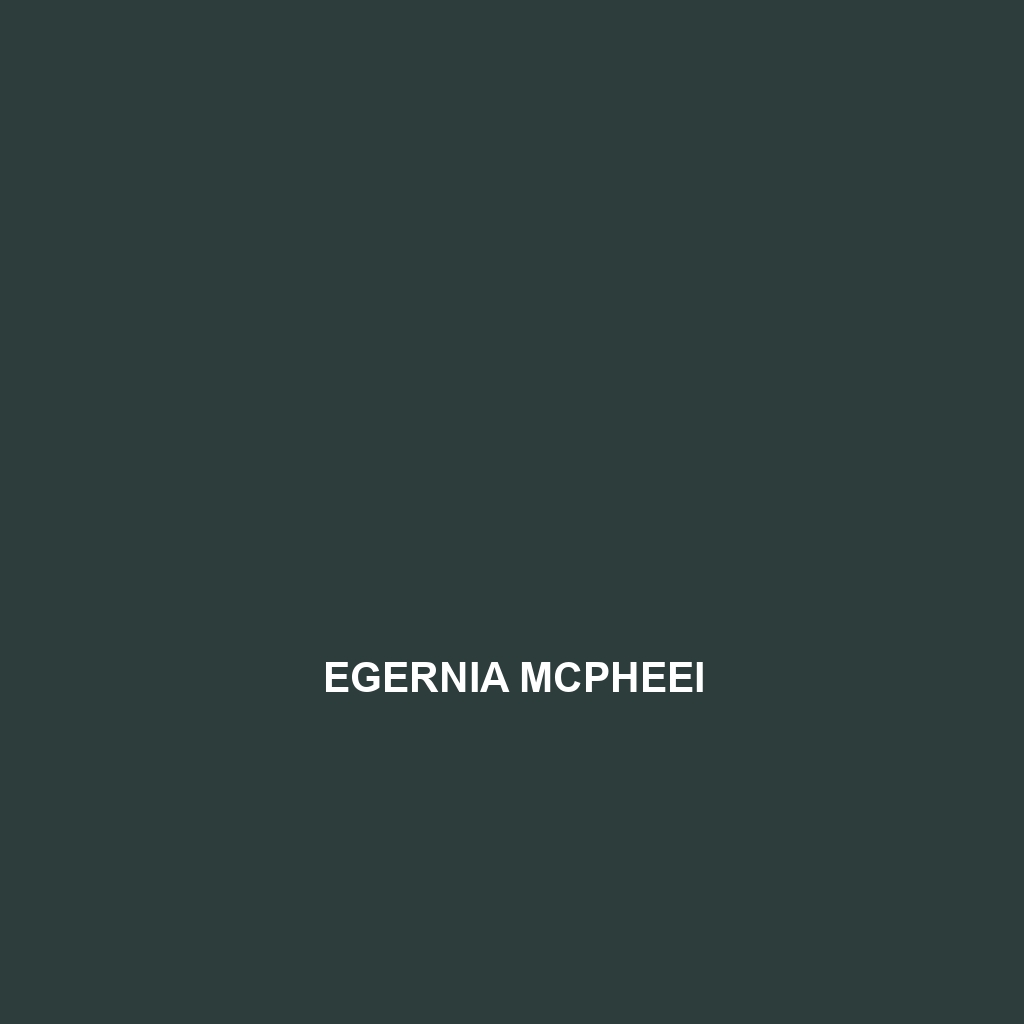 Egernia mcpheei