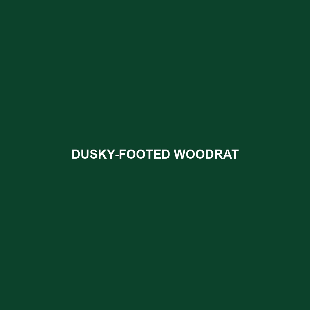 Dusky-footed Woodrat