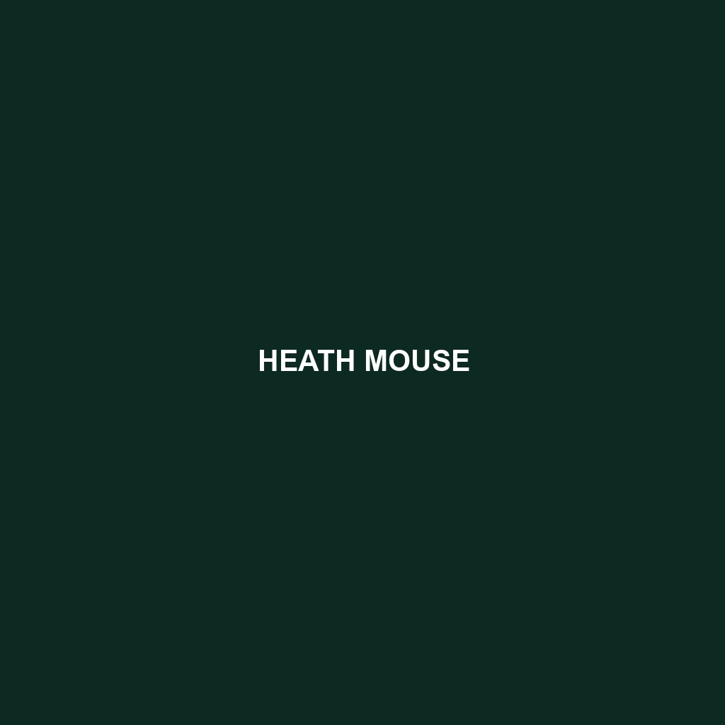 Heath Mouse