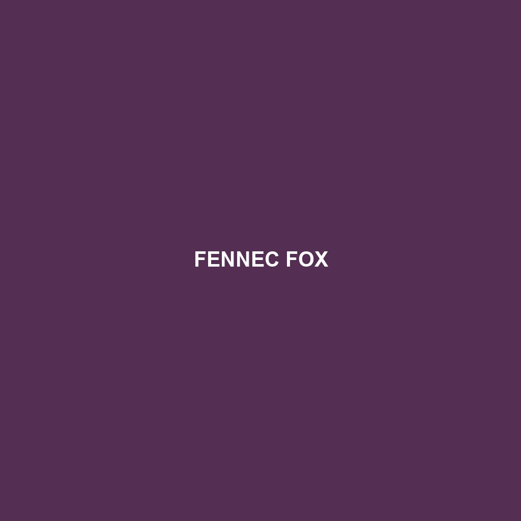 Fennec Fox