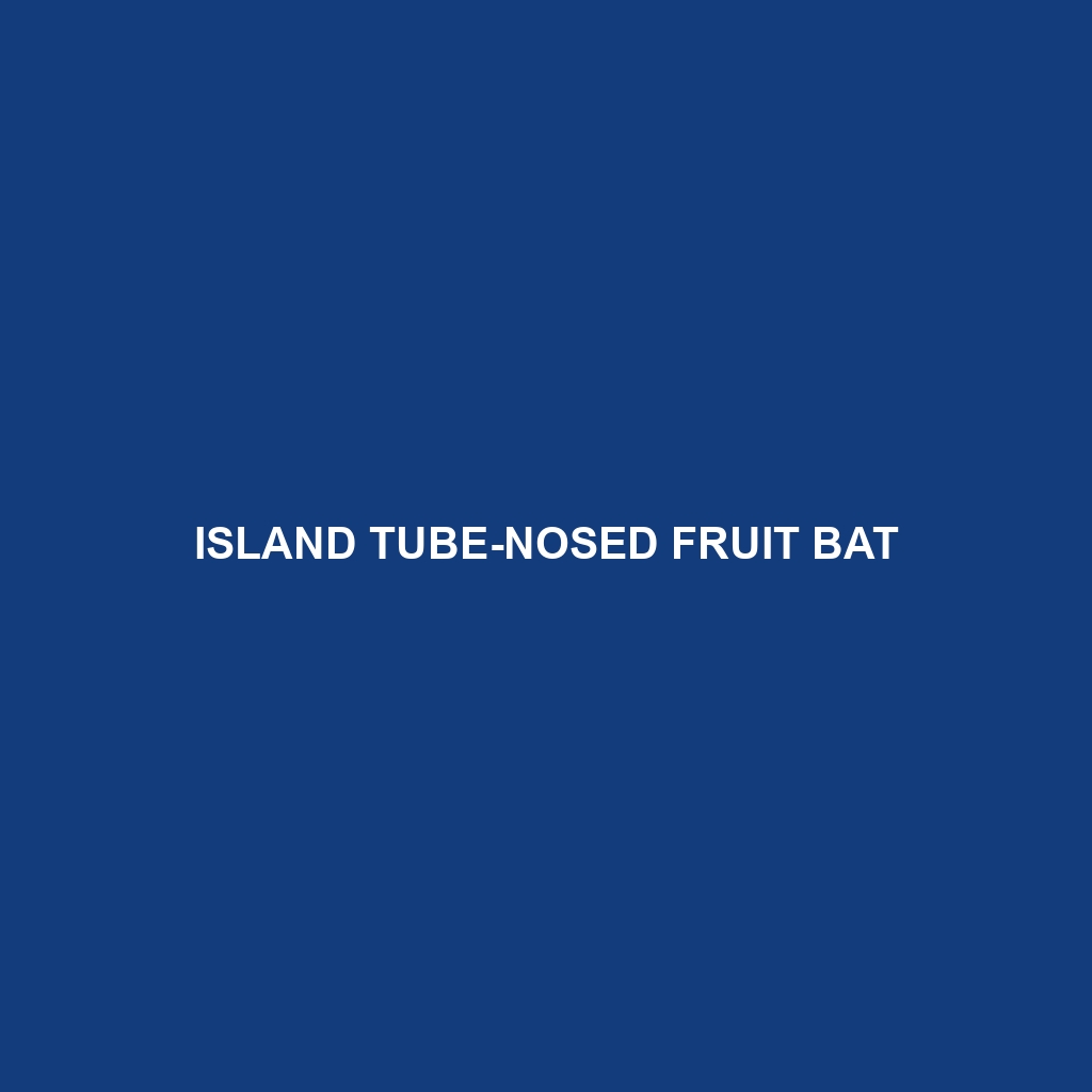 Island Tube-nosed Fruit Bat