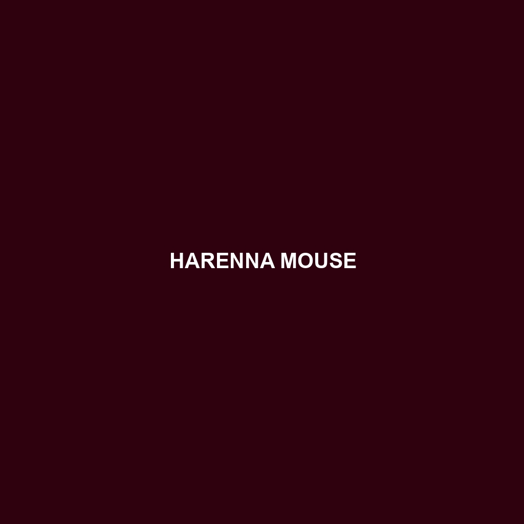 Harenna Mouse